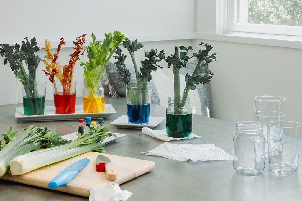 How to create your own celery science experiment